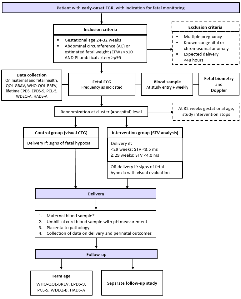 flowchart-2-10-24